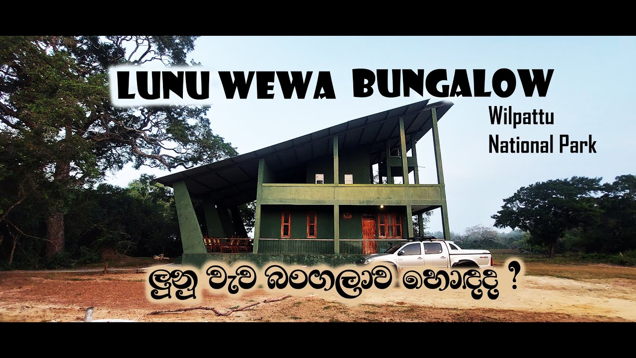 Lunu Wewa Wildlife Bungalow | Review | ලුනු වැව බංගලාව |  Wilpattu National Park | Sri Lanka
