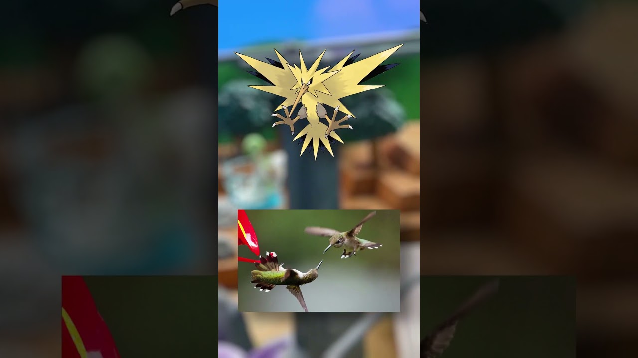 WTF is Zapdos?! | EVERY Pok&eacute;mon Design Explained