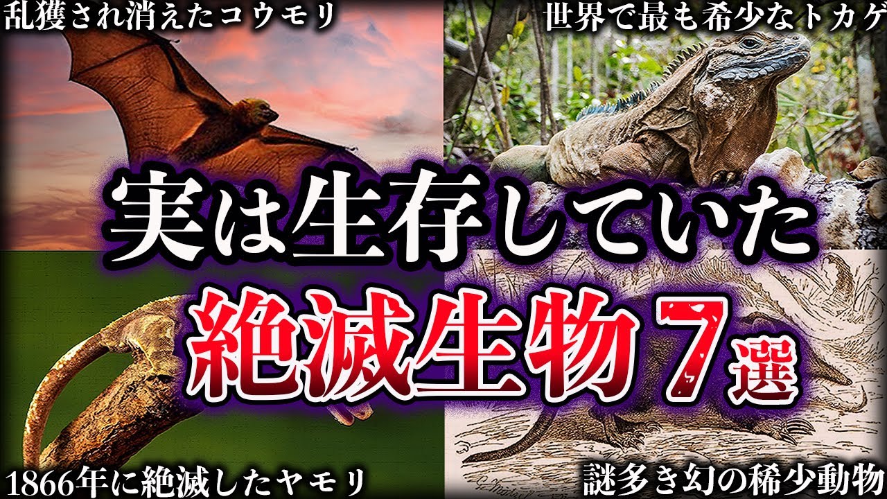 【ゆっくり解説】実は生存していた。近年発見された絶滅生物７選【Part3】