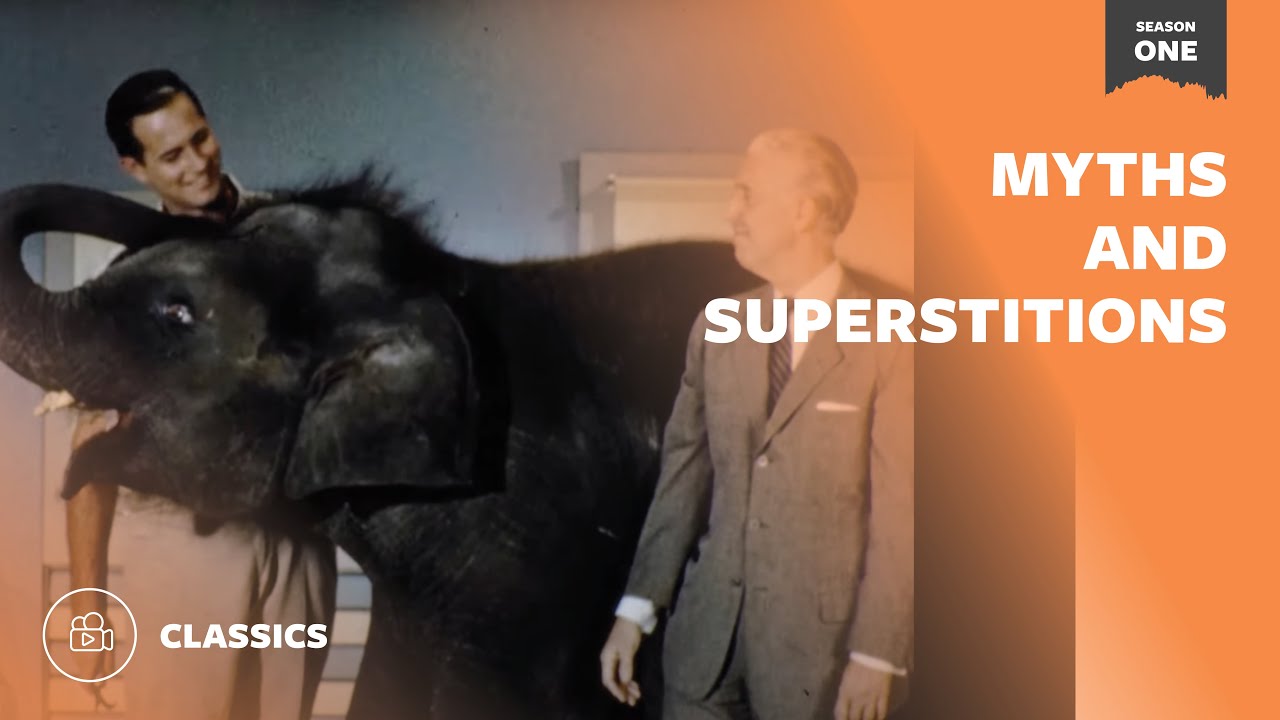 Myths and Superstitions | Mutual of Omaha's Wild Kingdom