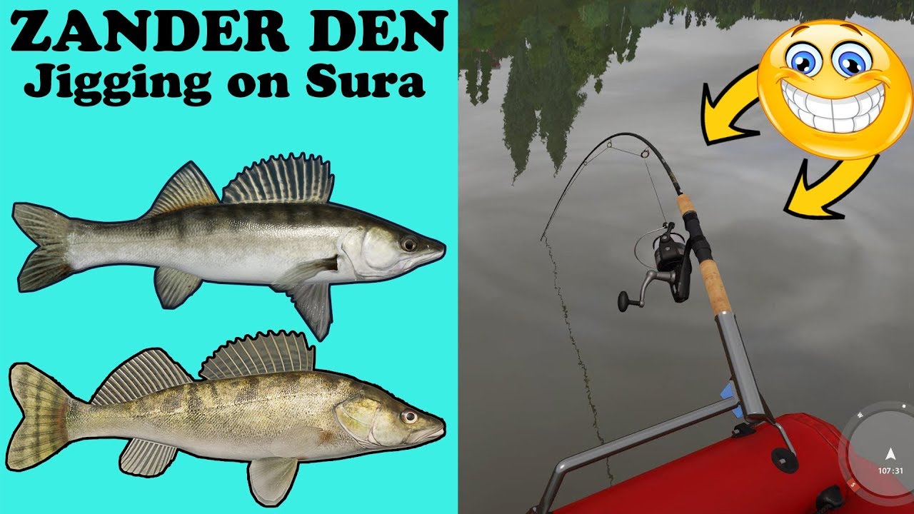 Zander & Volga | Sweet Spot [Russian Fishing 4]
