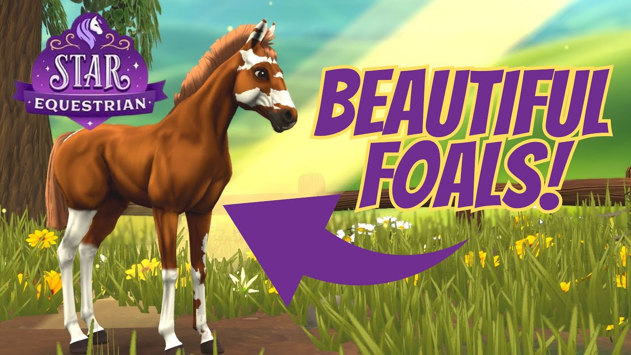 STAR EQUESTRIAN СТАЛО ИНТЕРЕСНЫМ... *НОВОЕ ОБНОВЛЕНИЕ*