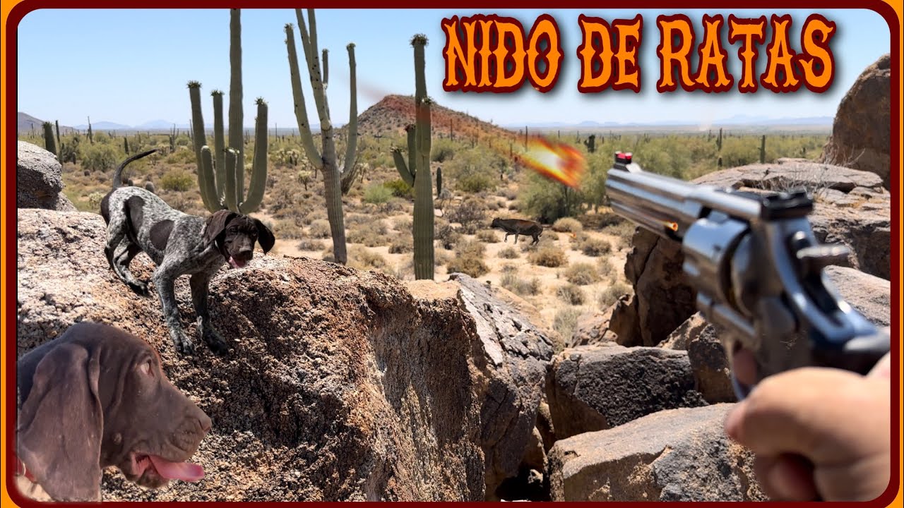 CUATRERO Y FORAJIDOS PARTE 14 CAMPAMENTO EN EL DESIERTO DE MALEANTES Y CUATREROS
