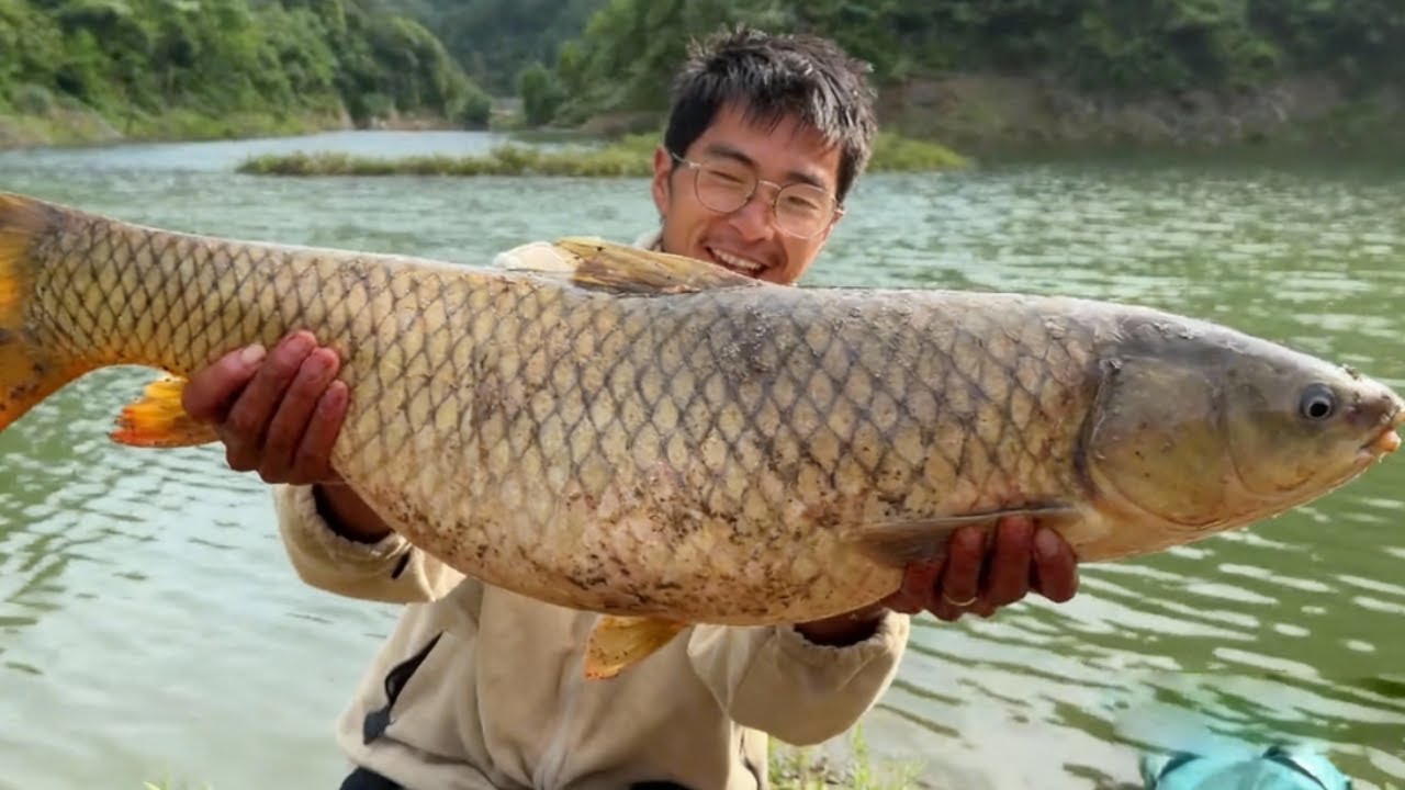 深山水库荒野钓鱼求生，一天连钓5条百斤大草鱼，太疯狂了！#户外 #野钓 #小宋野钓