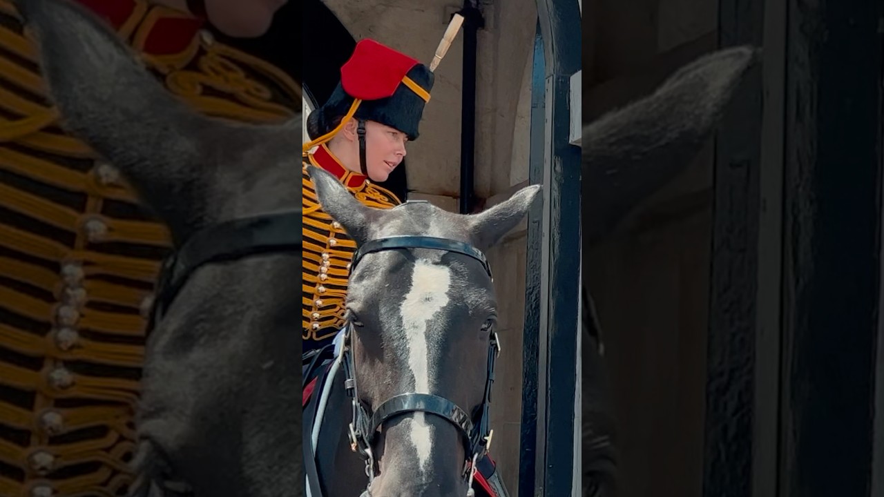 KING’S GUARD ASKS POLICE FOR HELP💂 | Horse Guards, Royal guard, Kings Guard, Horse, London, 2025
