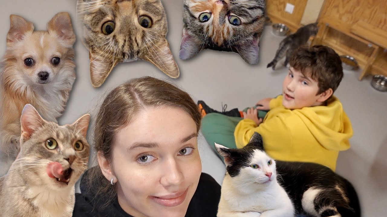 peaaegu tõime jõuludeks uue kiisu koju...