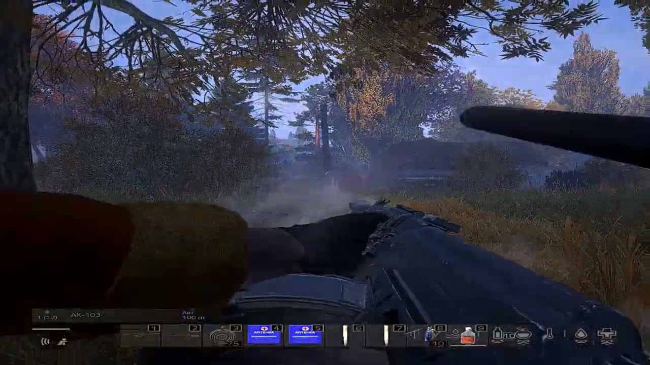 Тени от Пальм #purezone #fragmovie  #dayz  #dayzstalkerrp  #dayzstandalone