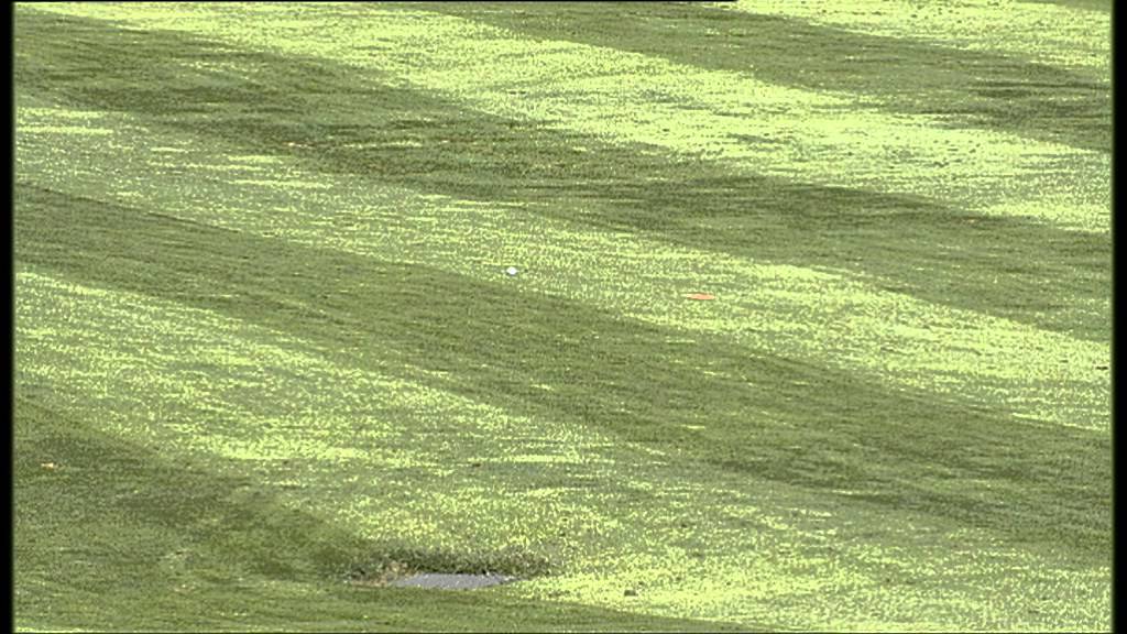 Banesto Tour 2012 - Centro Nacional de Golf, Madrid - Parte 5