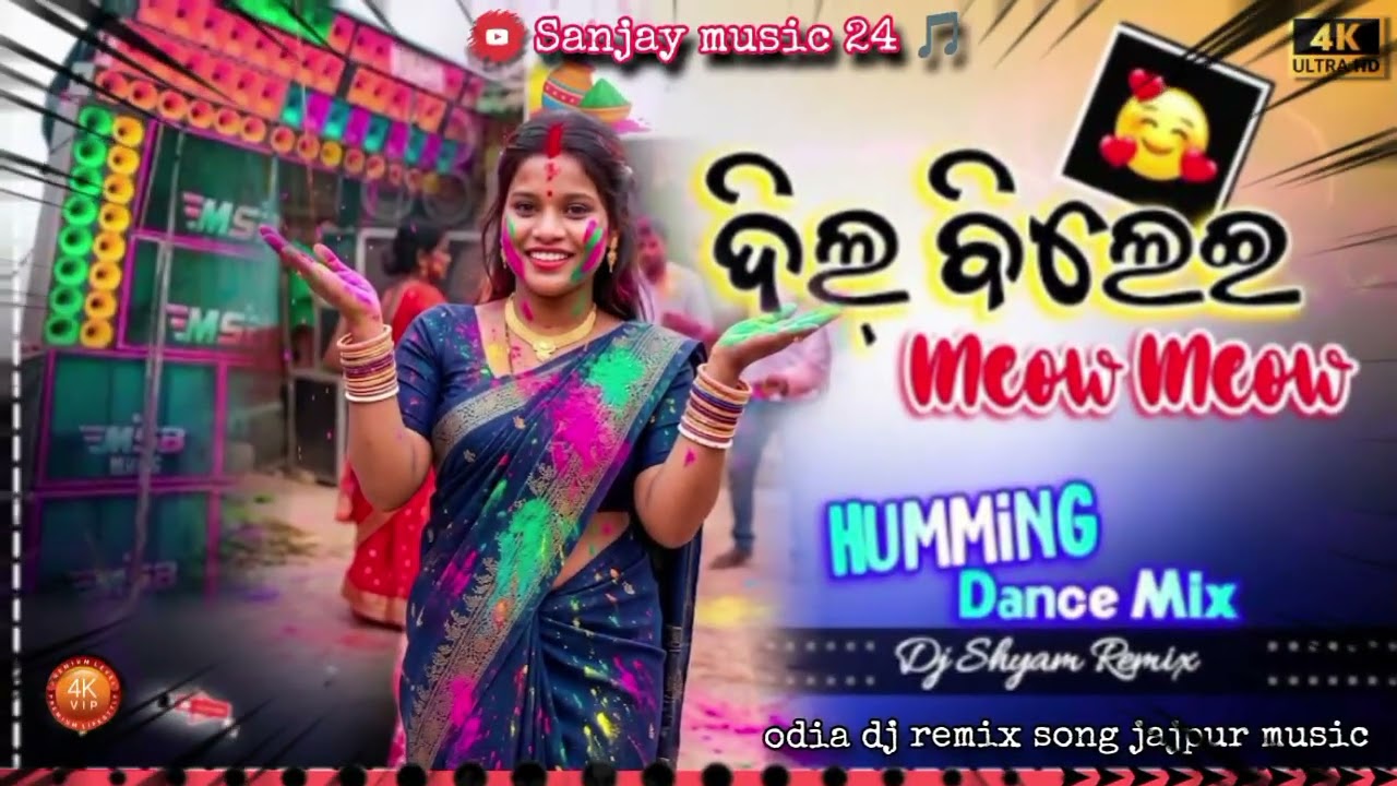 Dil Bilei Meow Meow official music Sanjay music 24 🎵 dj remix odia song ❤️🥀... #viralvideo 