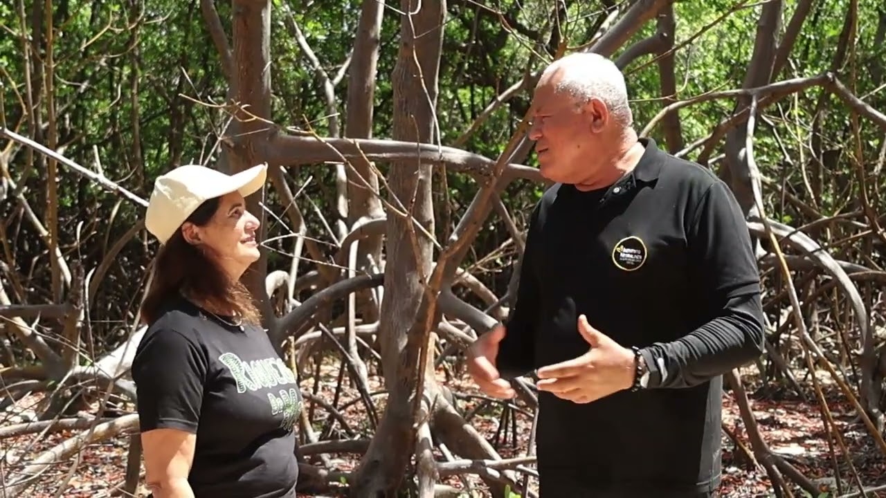 PROJETO ROTA DOS CORAIS Turismo Regenerativo, Educa&ccedil;&atilde;o Ambiental e Sustentabilidade.