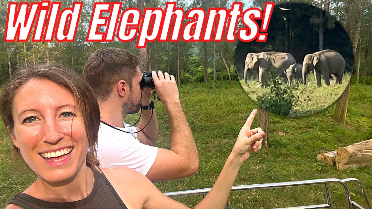 We Saw WILD ELEPHANTS! Hua Hin, Pranburi Forest Park, Kui Buri National Park, Thailand Travel Vlog