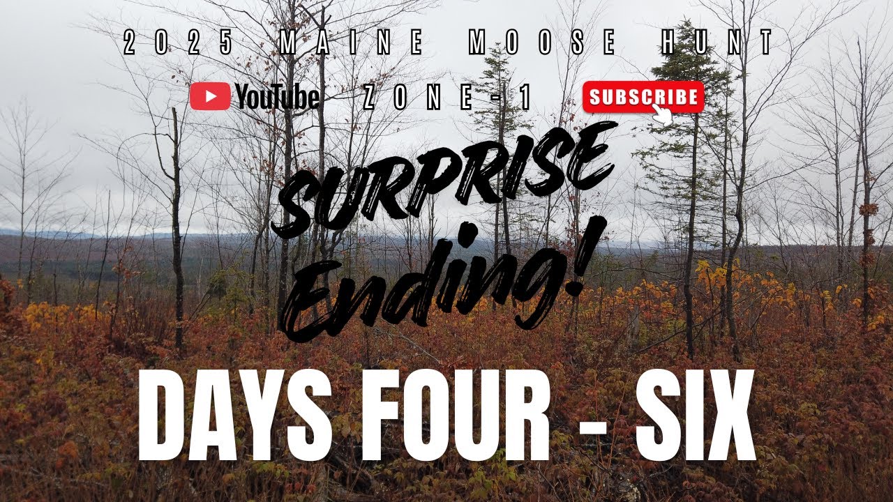 2025 Maine Moose Hunt - Days 4-6 - Surprise Ending!