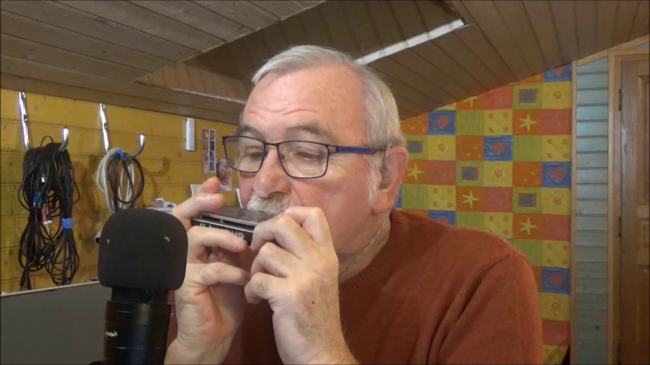 DIEGO LIBRE DANS SA TETE   - Michel Berger -