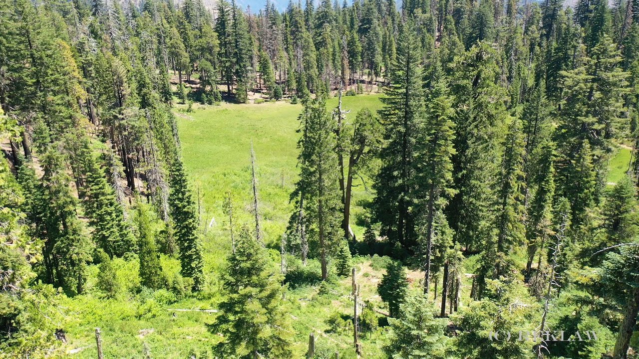 Six Rivers National Forest - Flint Valley Meadow By Drone