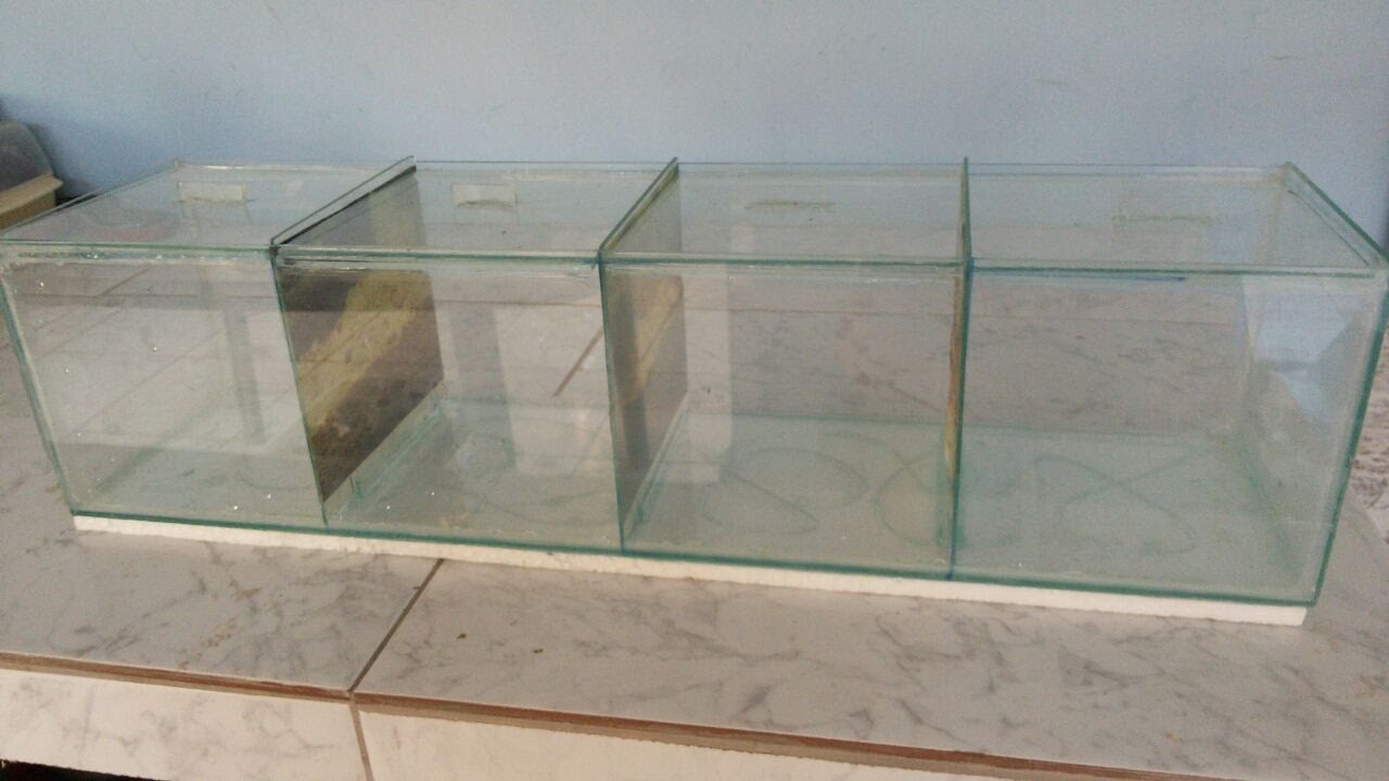 COMO FAZER, PASSO A PASSO, AQUÁRIO COM DIVISÓRIAS MÓVEIS PARA BETTAS.
