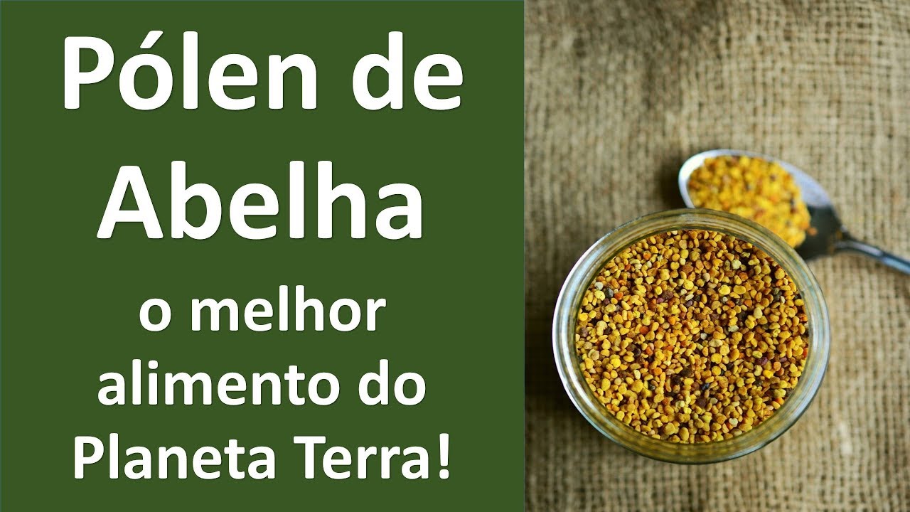 Pólen de abelha! O melhor alimento da Terra | Dr. Marco Menelau