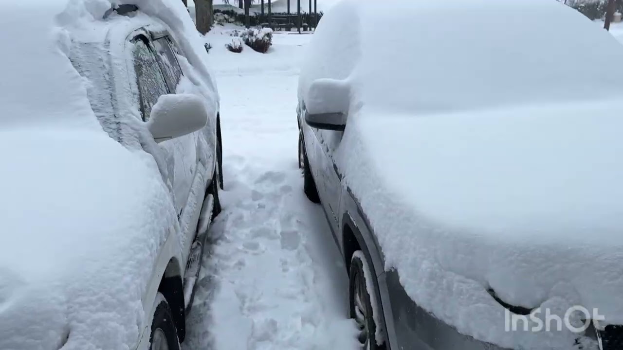 Snow in Tennessee 1/31/26