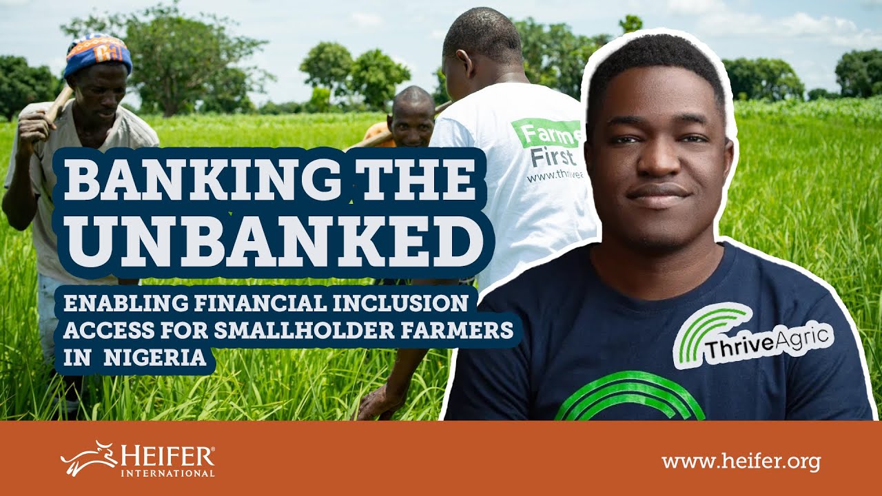 Youth innovation in agriculture: Celebrating ThriveAgric | AYuTe Africa x Heifer