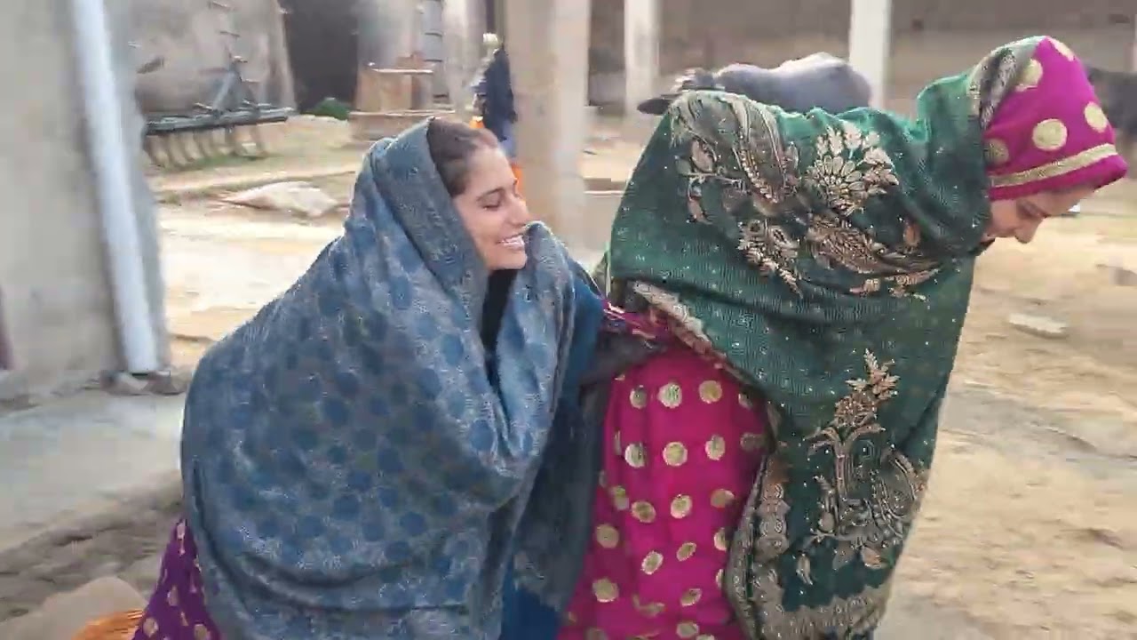 सर्दी में नहाने से डरलगता है बहु को #mastivideo #funny #rajstanicomedy #comedyshorts 