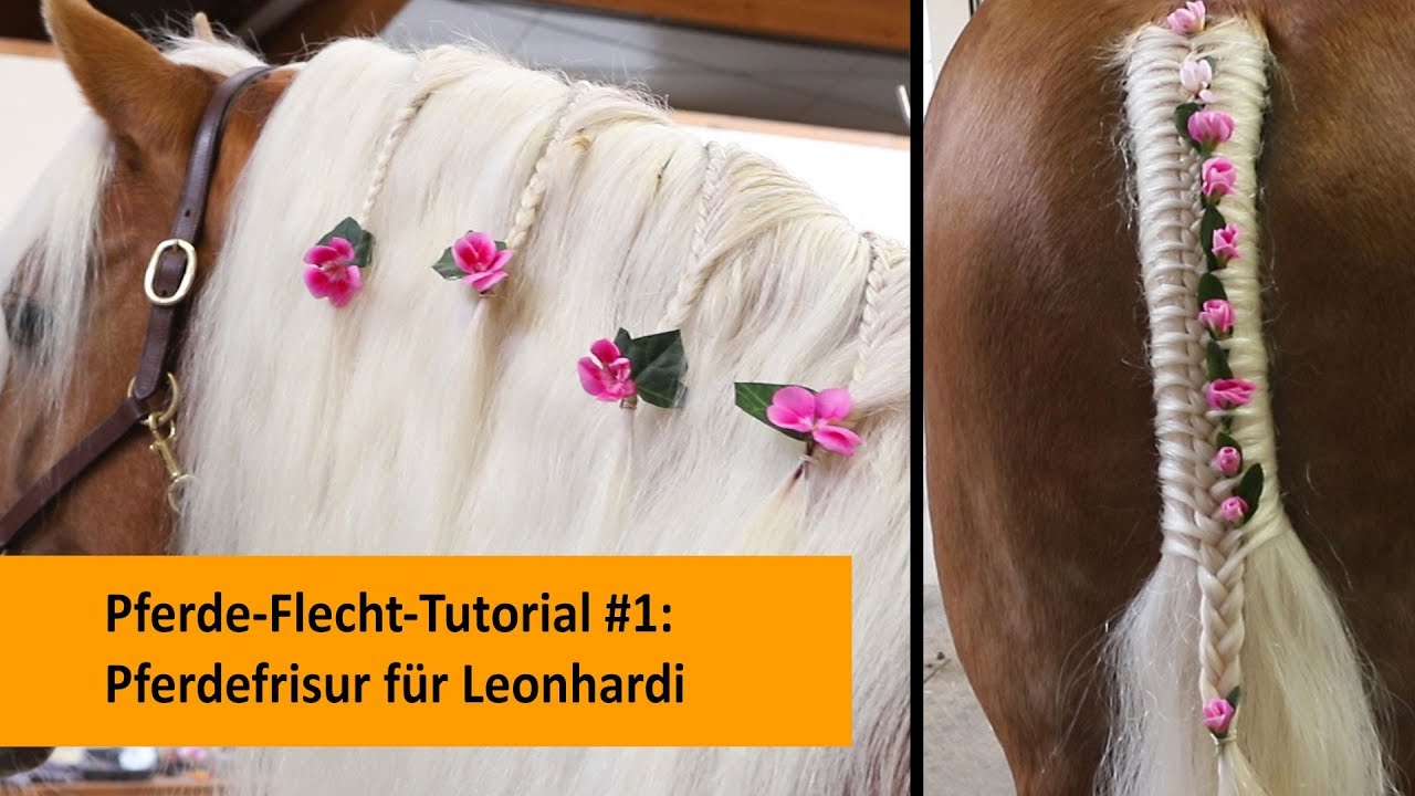 Pferde-Flecht-Tutorial #1: Mähnen- und Schweiffrisur für Leonhardi (Mähne einflechten)