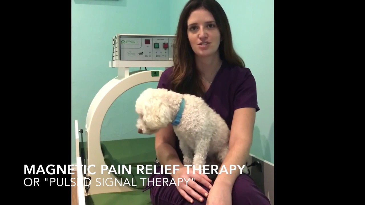Magnetic Pain Relief Therapy (Pulsed Signal Therapy) .