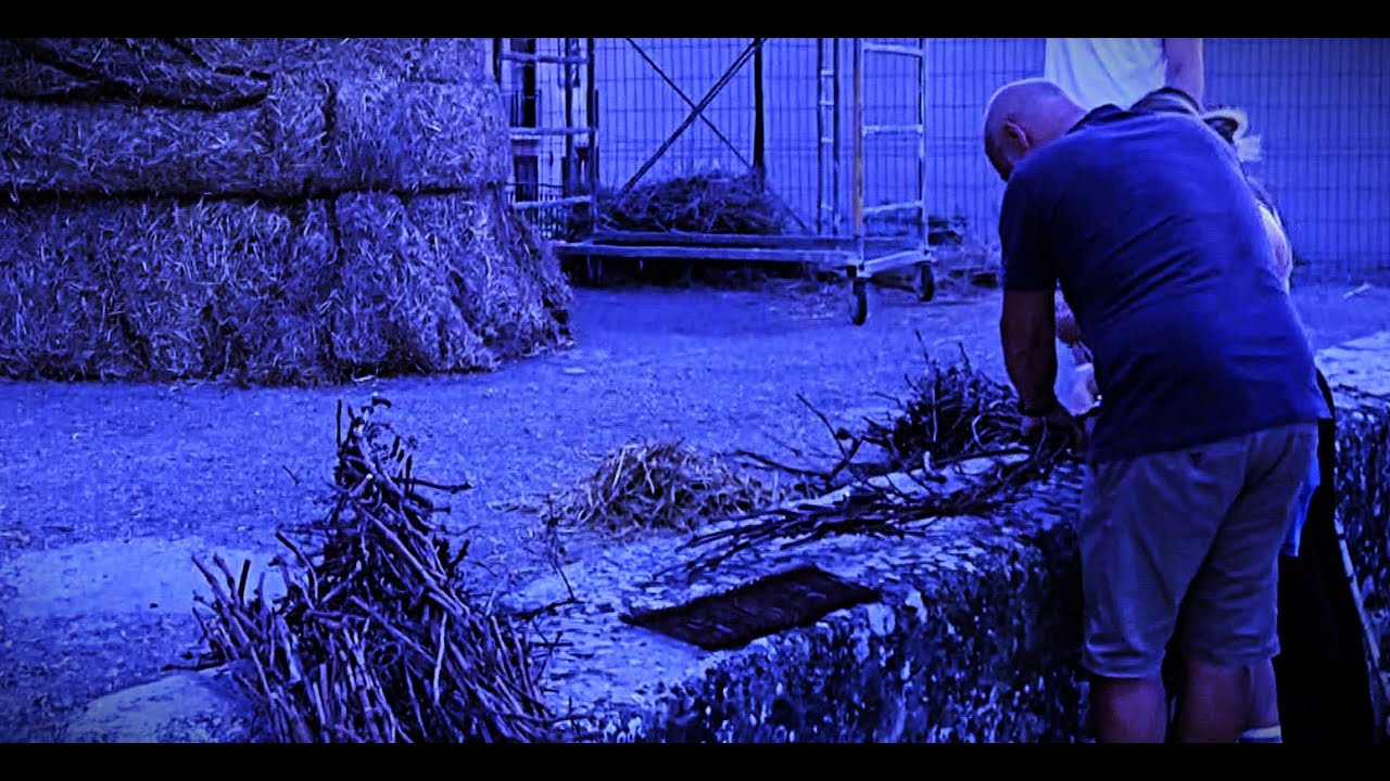 I giganti buoni di Montecalvo Irpino spopolano sul web
