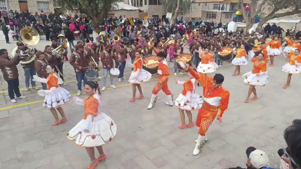 SAMBOS guaguasnique 25