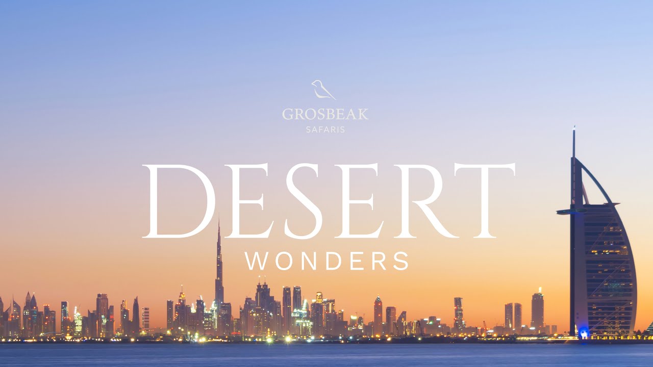10 Unforgettable Things to Do in Dubai | Desert, Skyscrapers & More!