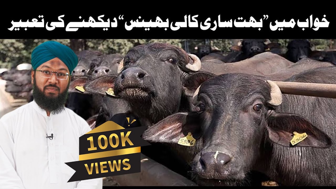 Khwab Mein Kali Gaye Dekhne Ki Tabeer in Urdu/Hindi  | Mansur Ahmad Attari