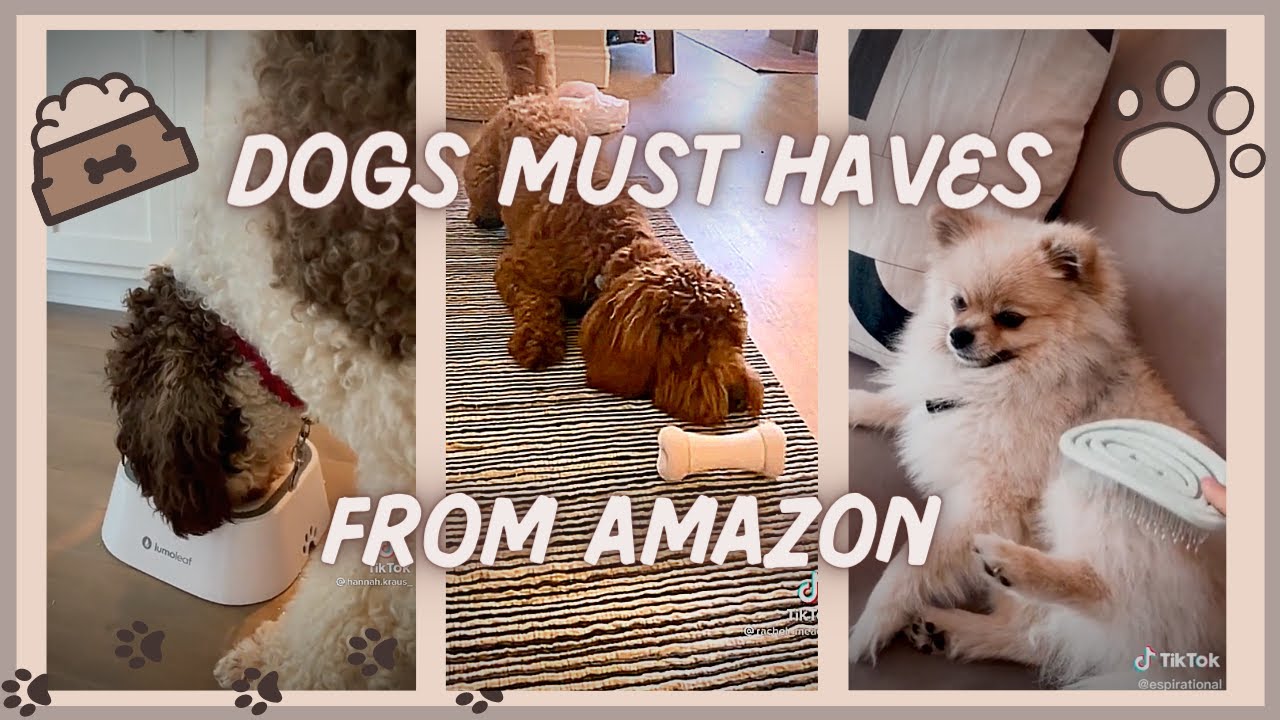 Dogs Amazon finds/must haves Tik Tok compilation (with links)