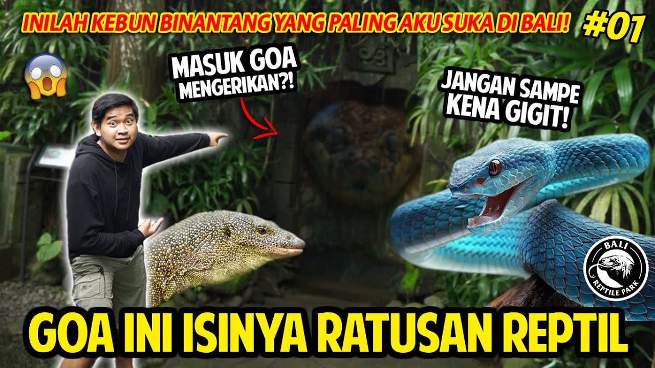 GREBEK BALI REPTILE PARK! INI KEBUN BINATANG PALING AKU SUKA DI BALI! MASUK GOA PENUH REPTIL! #part1