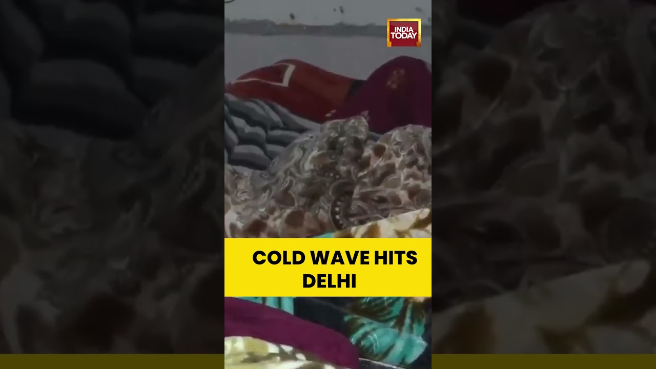 Delhi Freezes as Cold Wave Tightens Grip 