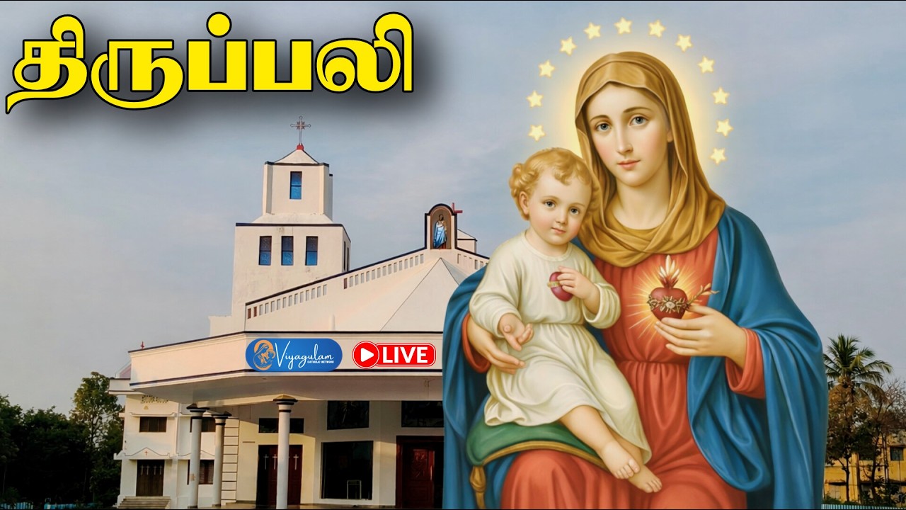 🔴🅻🅸🆅🅴 14 March  2026 திருப்பலி | புனித மரியாவின் தூய நெஞ்ச ஆலயம் | வேட்டவலம் | Viyagulam Tv
