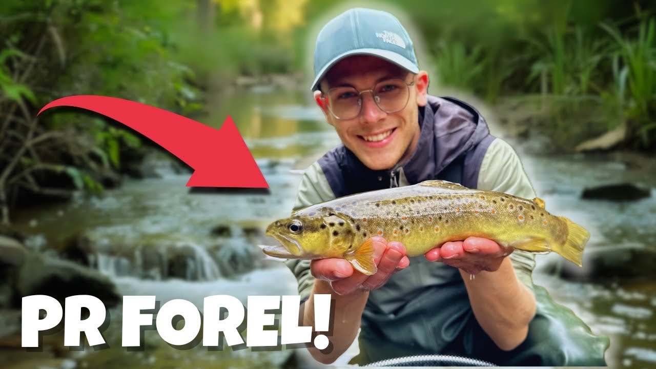 FORELLEN CHAOS tijdens het VLIEGVISSEN in de ARDENNEN! l VISbazen #45
