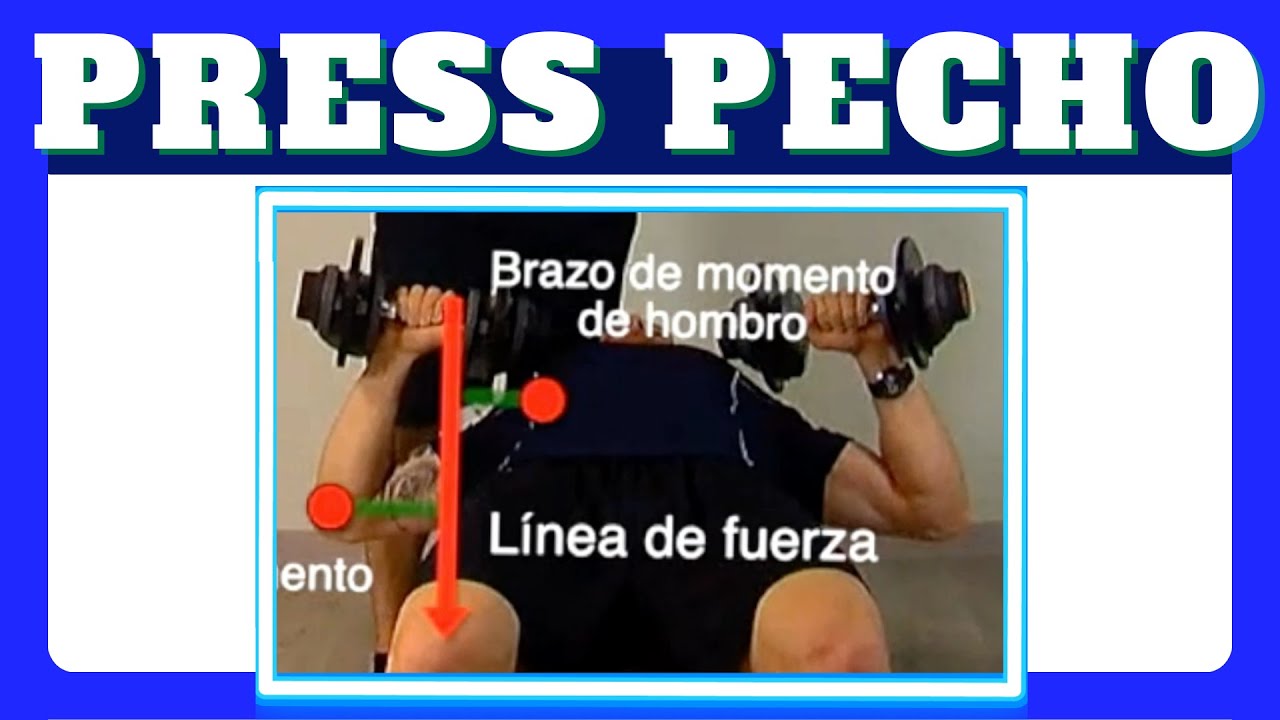 BIOMECÁNICA del PRESS con MANCUERNAS. Ejercicio para pectoral.