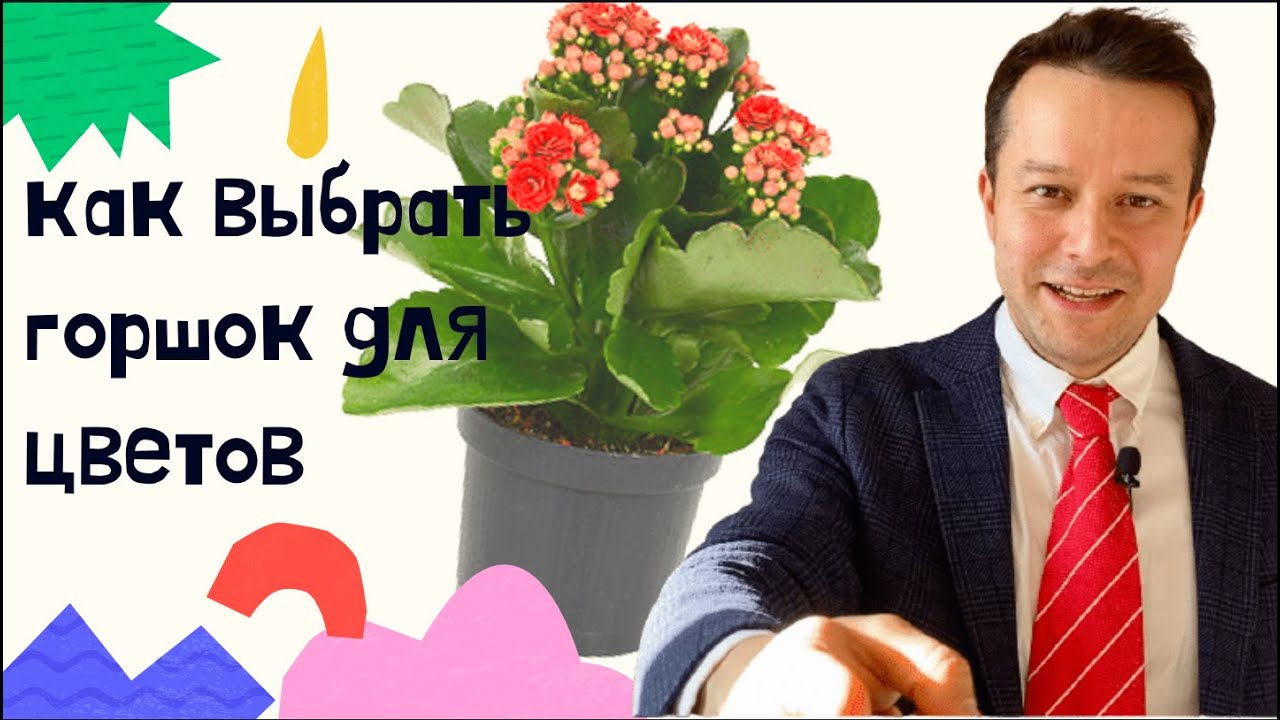 Aero Pot и Grow Bag что это? И как выбрать горшок для цветов?