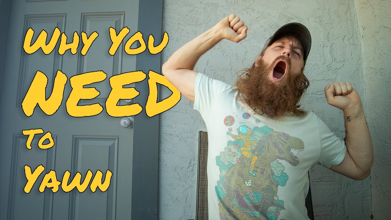 Don't Fight The Yawn - Why You Need To Yawn