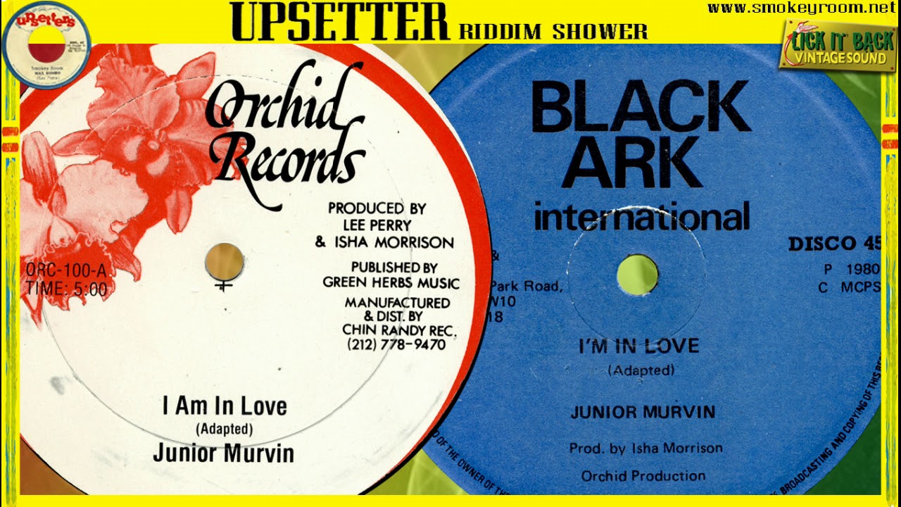 I'M IN LOVE ⇒12 INCH⇐ ⬥Junior Murvin⬥