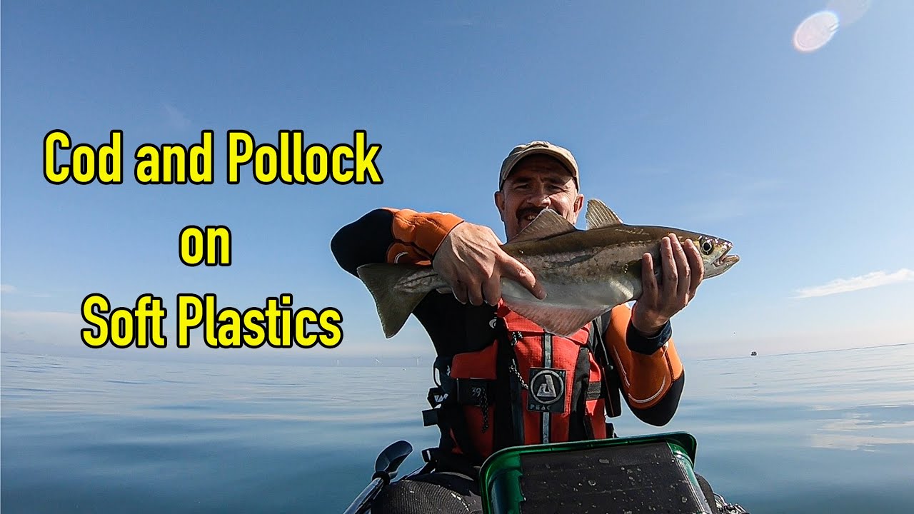 Kayak Fishing Whitley Bay for Cod and Pollock