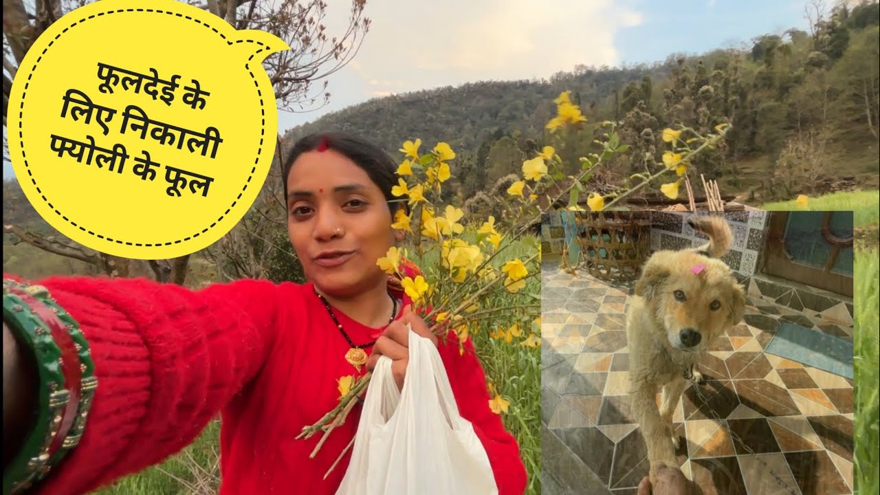 हमारे Tommy को आया Invitation || pahadi life style vlog || pratiksha k vlog ||