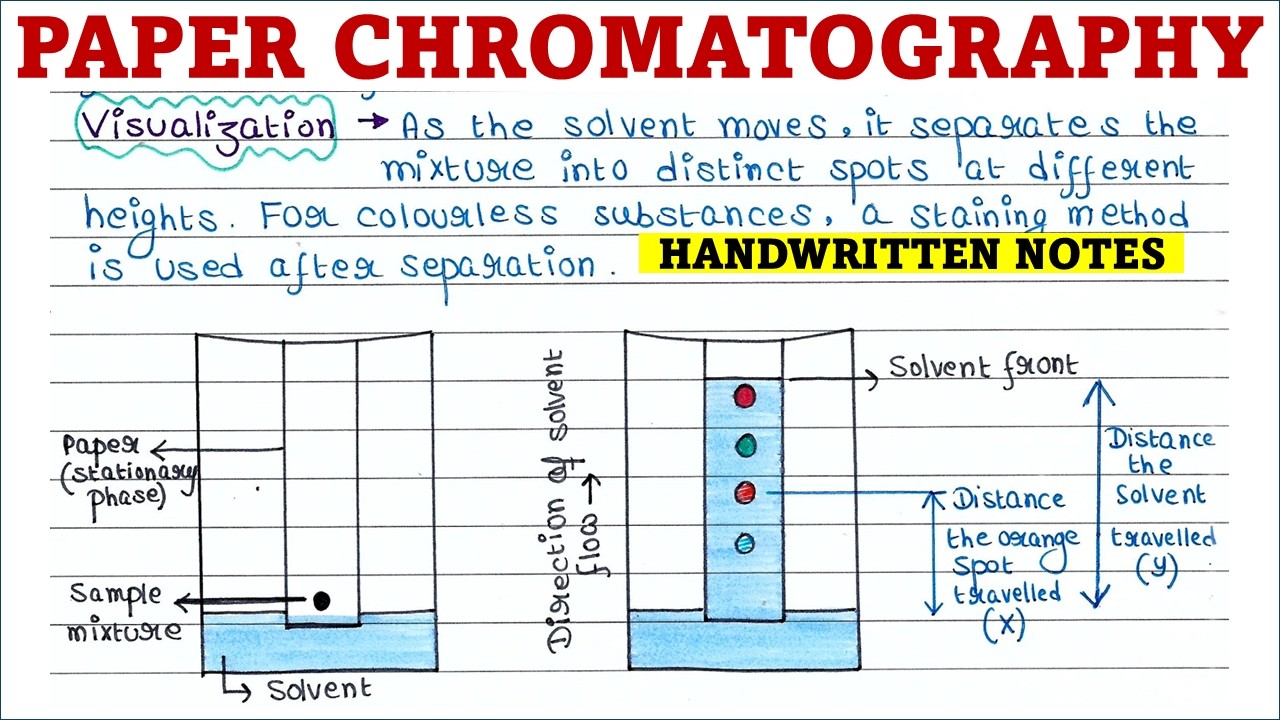 Paper Chromatography | L8