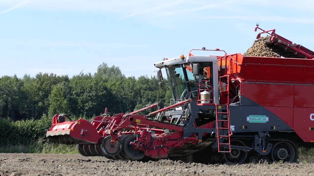 Pootaardappels rooien | Loonbedrijf Fijnaart BV | 2x Dewulf Kwatro