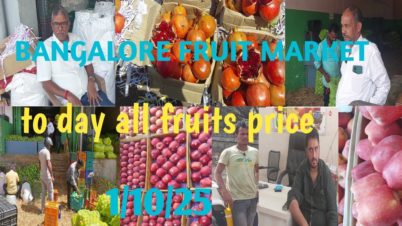 BANGALORE FRUIT MARKET  || To day all fruits price  || aaj ka savi phal ka price 