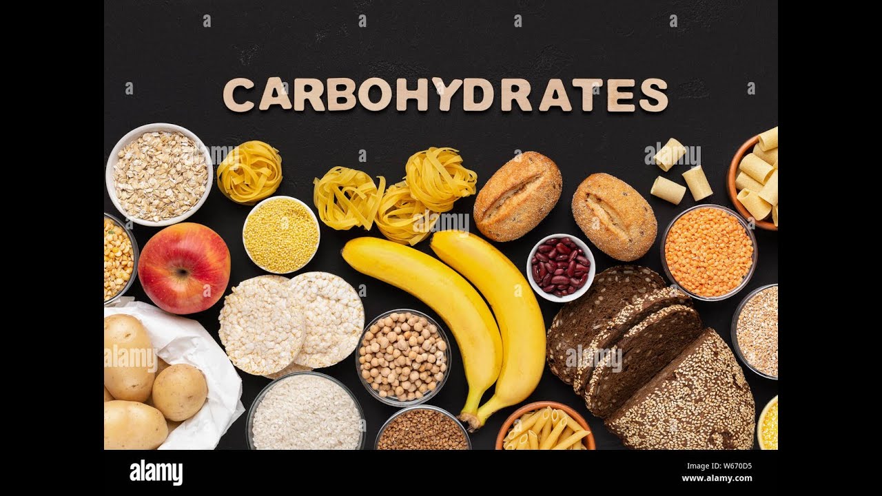Carbohydrates introductory video- BSc students - Biochemistry