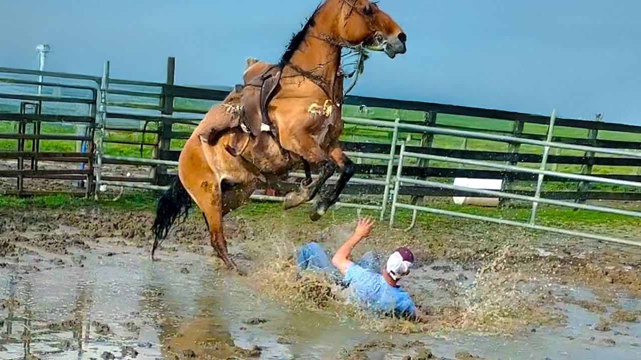 Try Not to Laugh Challenge Impossible🤣 Best Fails of July 2025