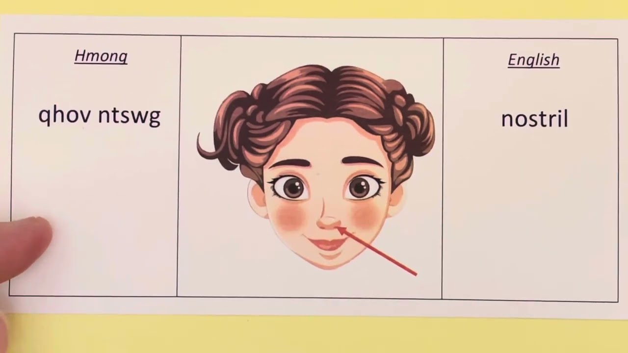 Daily Use Words in Hmong | Vocabulary with Pictures | Human Body Parts (Part 1)