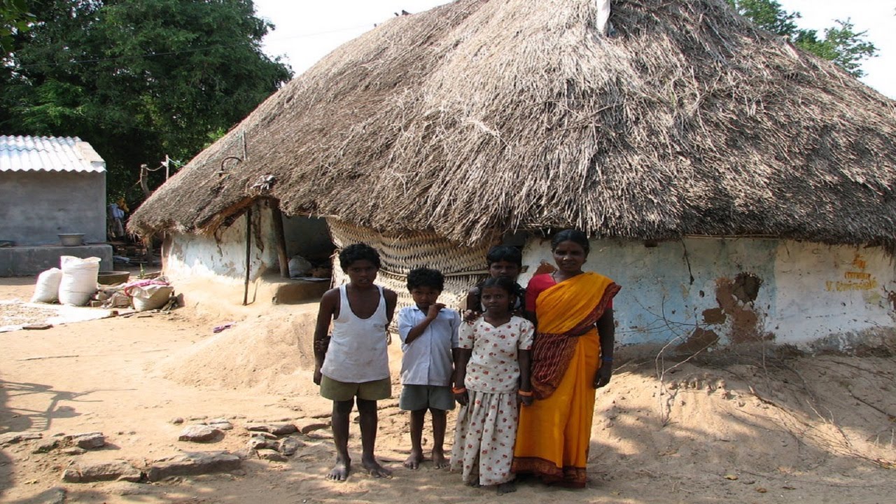 Traditional Activities In Rural Tarai Village || Countryside Daily Life || life of nepali village