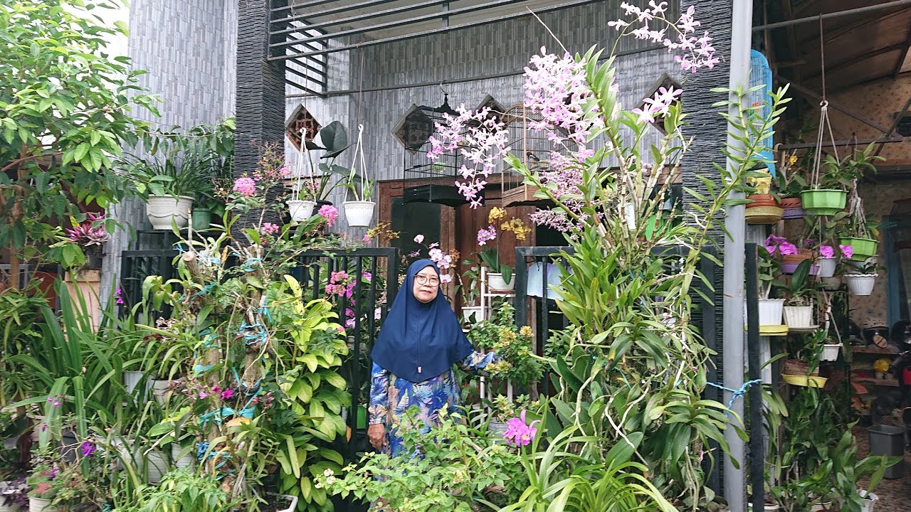 Pupuk anggrek murah merawat anggrek jadi mudah subur rajin berbunga, Bu Tatik Blitar