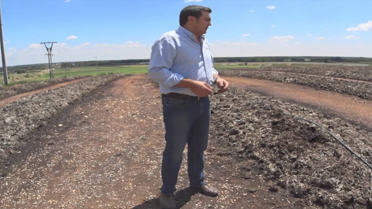 Humus de Lombriz | Abono Orgánico