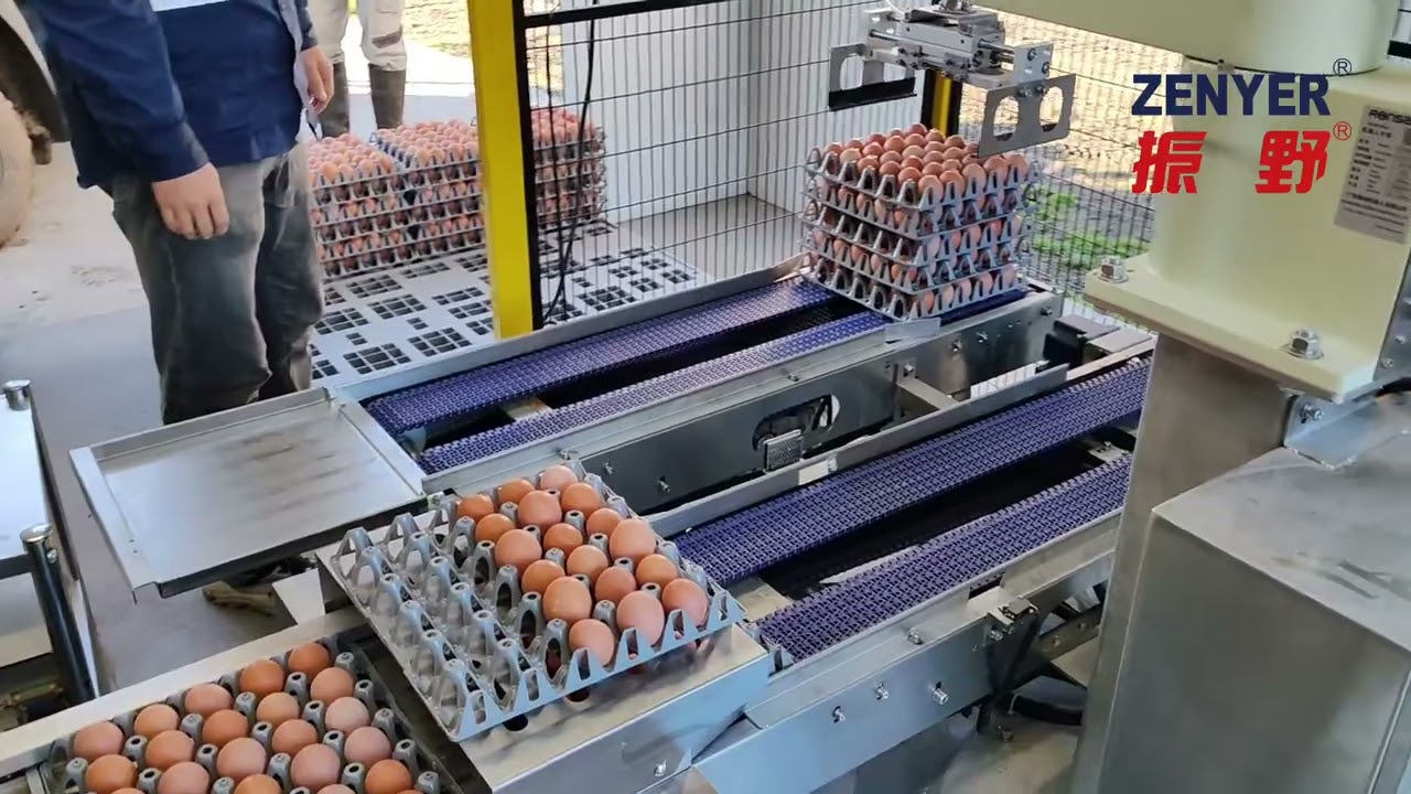 ZENYER 713AS Egg Farm Packer Robotic Stacker 30000 eggs/hour